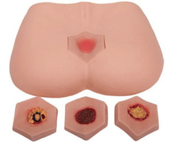 Modelo de cuidado del acné con alimentación por fases