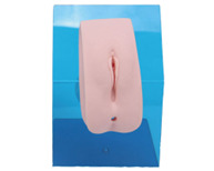 Modelo de catéter femenino con apósito avanzado